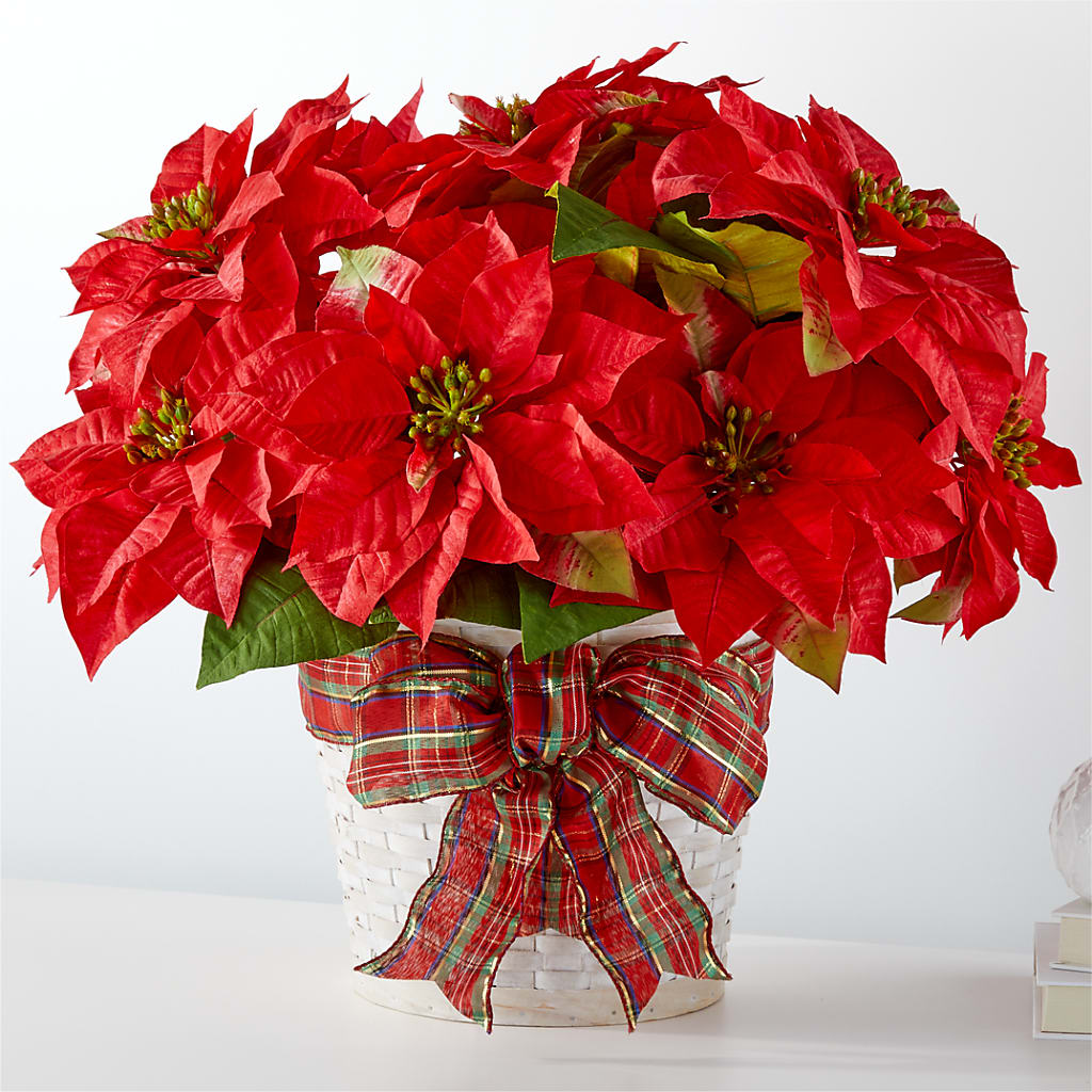 Happiest Holidays Poinsettia – Bakers, Wichita KS