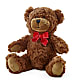Adorable Plush Bear – Bakers, Wichita KS
