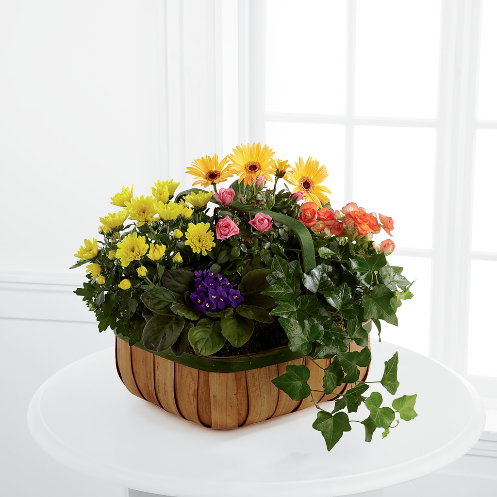 Gentle Blossoms Basket – Bakers, Wichita KS