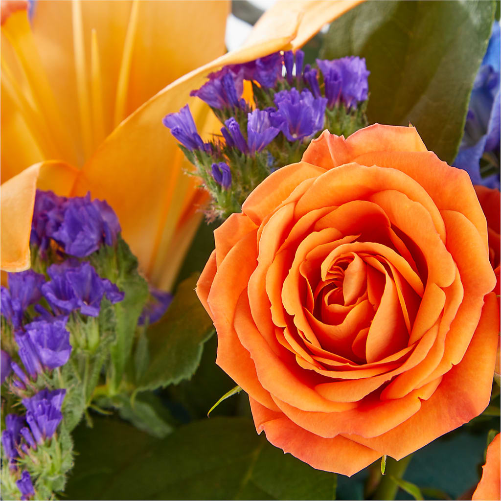 Radiant Citrus Box Bouquet – Bakers, Wichita KS