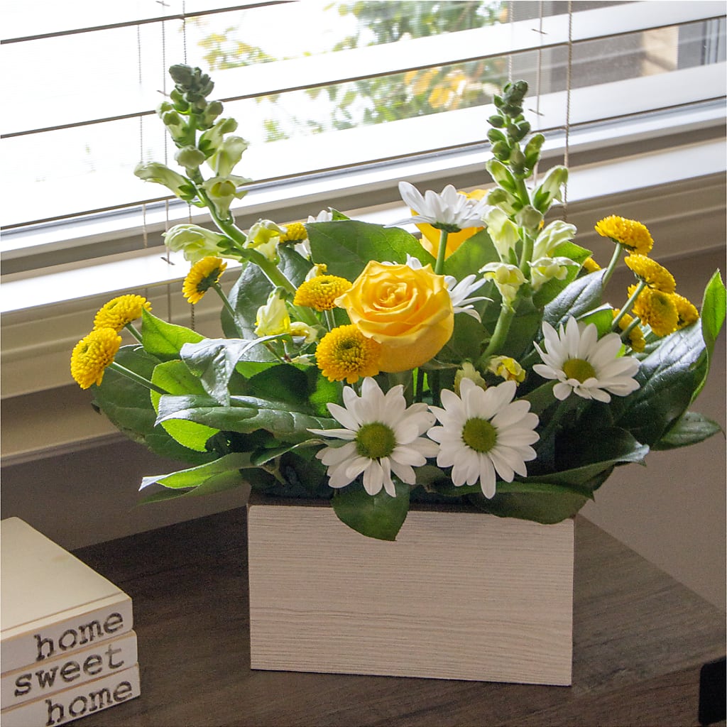 Sun Salutation Box Bouquet – Bakers, Wichita KS