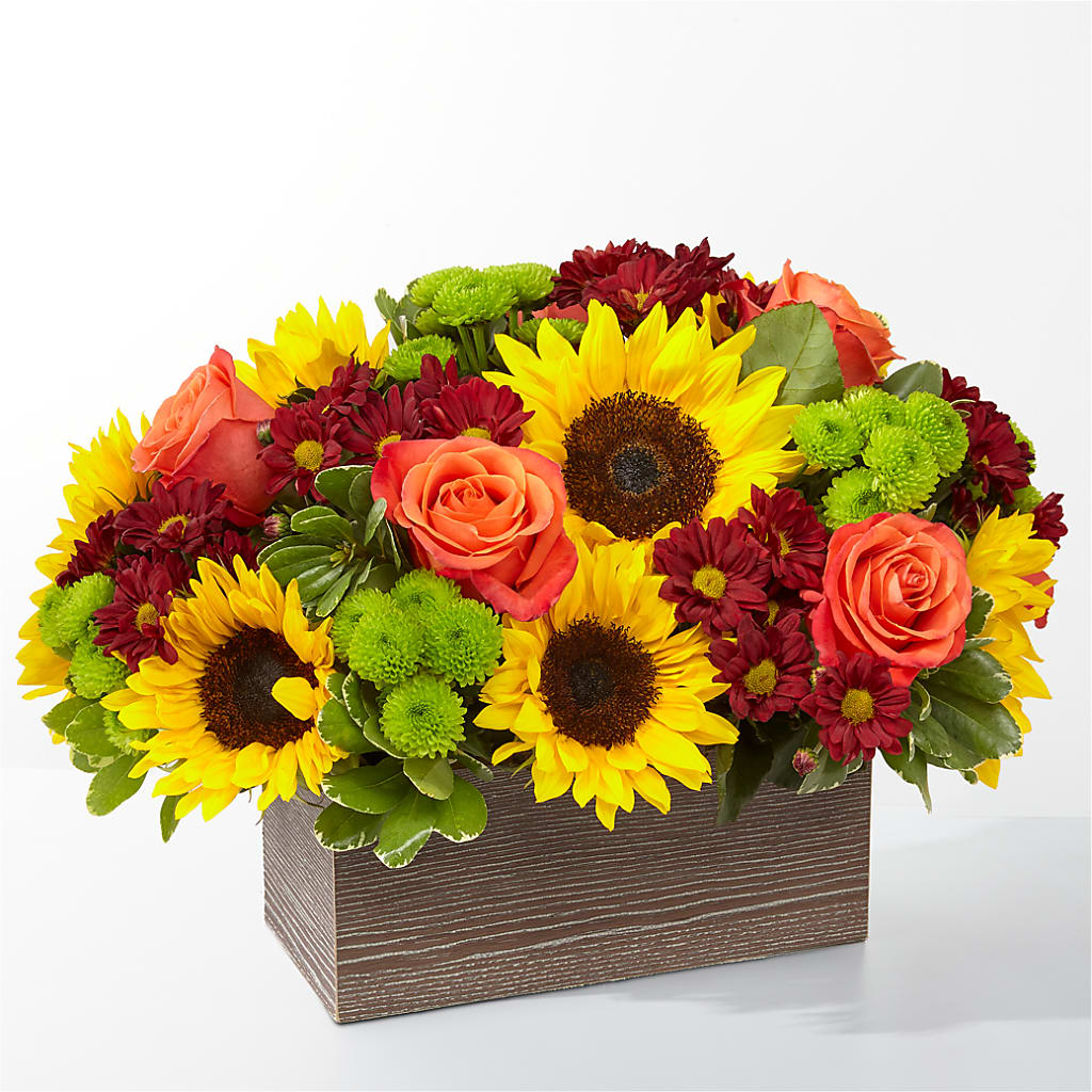 Happy Harvest Garden – Bakers, Wichita KS