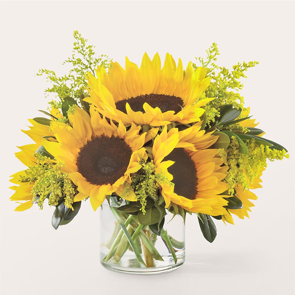 Beaming Sunflower Bouquet – Bakers, Wichita KS