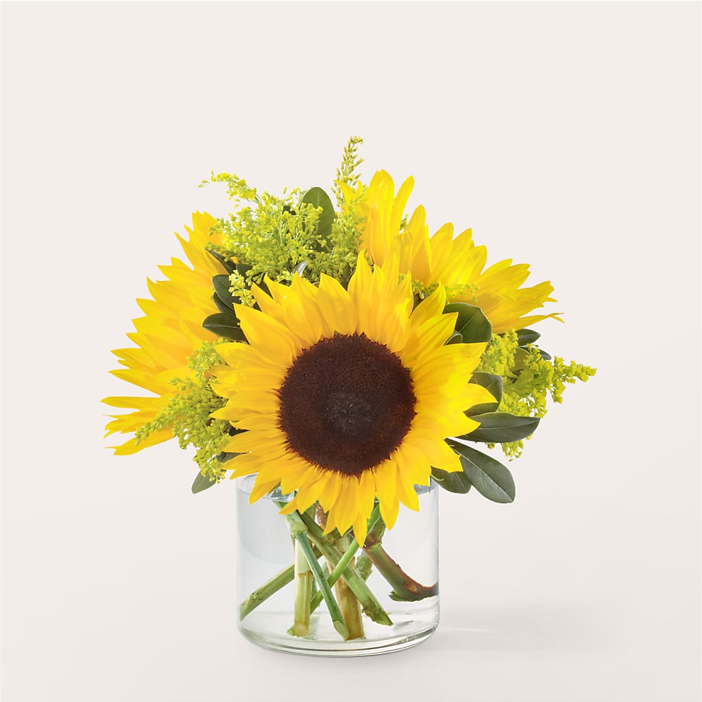 Beaming Sunflower Bouquet – Bakers, Wichita KS