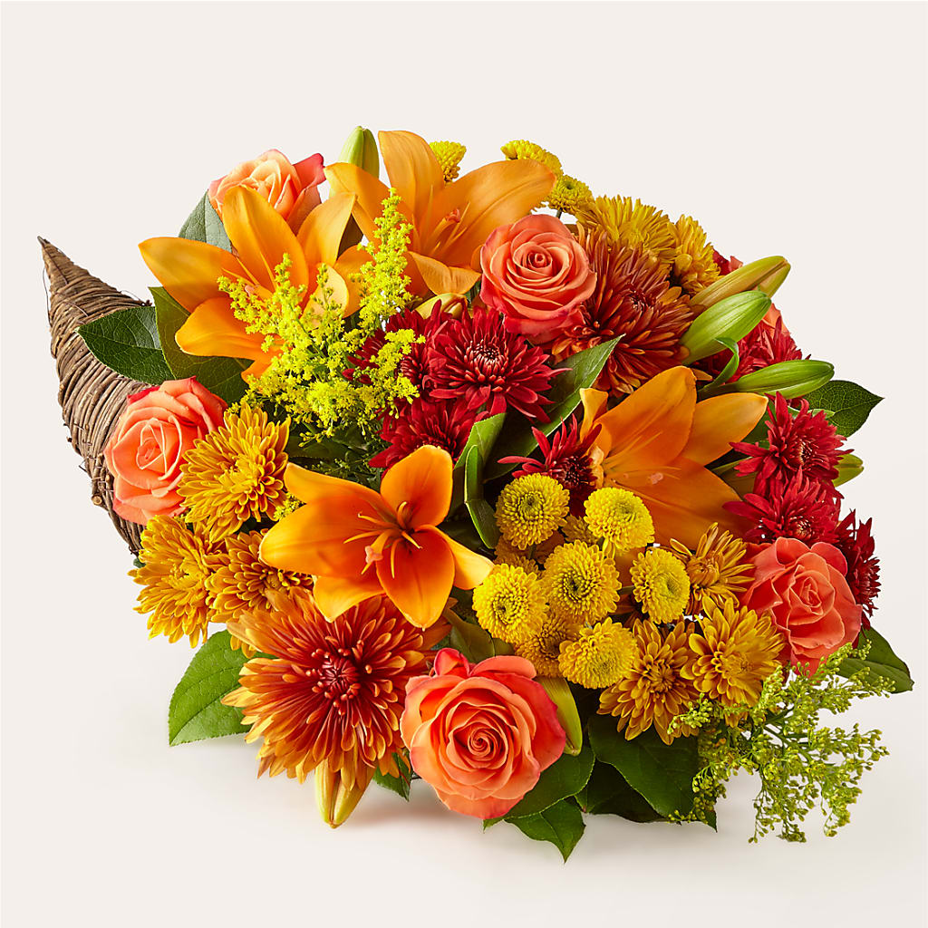 Feast of Color Cornucopia – Bakers, Wichita KS