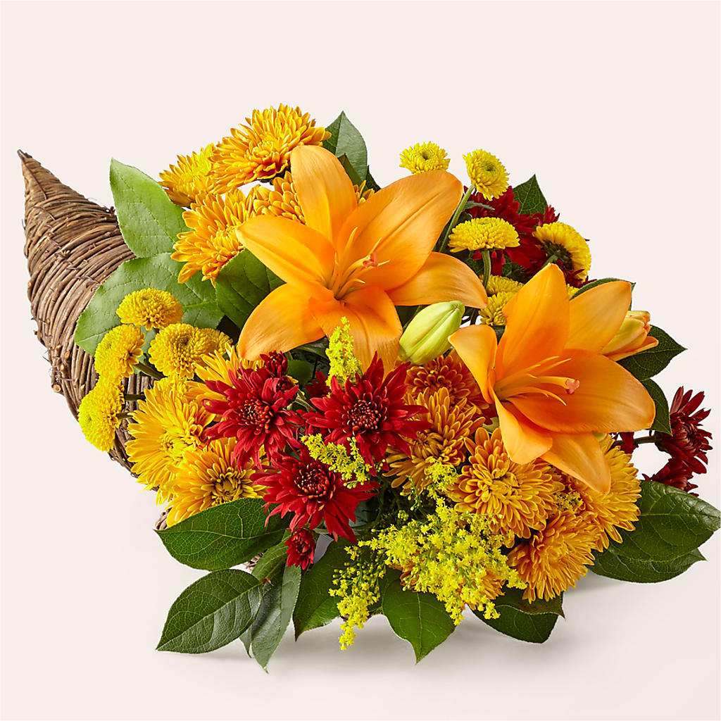 Feast of Color Cornucopia – Bakers, Wichita KS