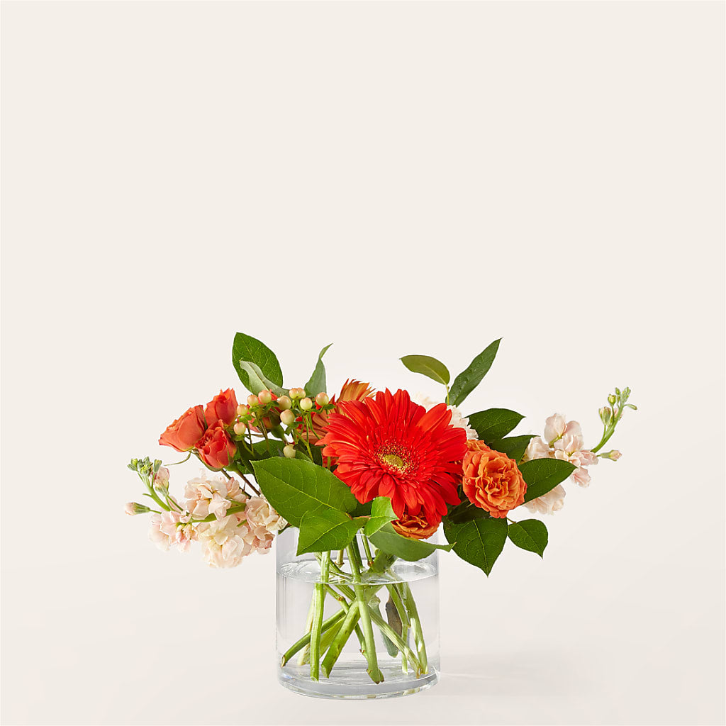 Paloma Please Bouquet – Bakers, Wichita KS
