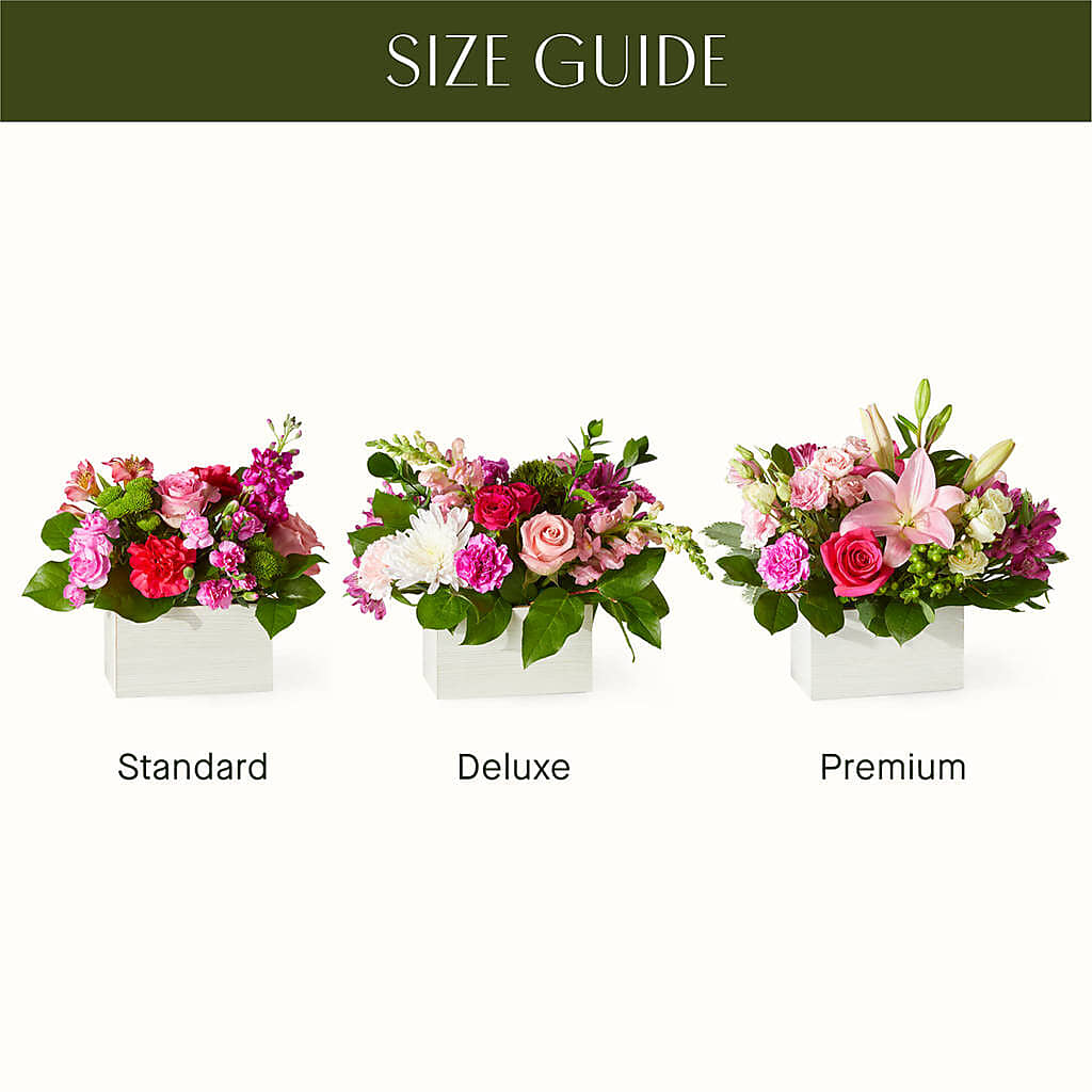 Sweetberry Box – A Florist Original –  Bakers, Wichita KS