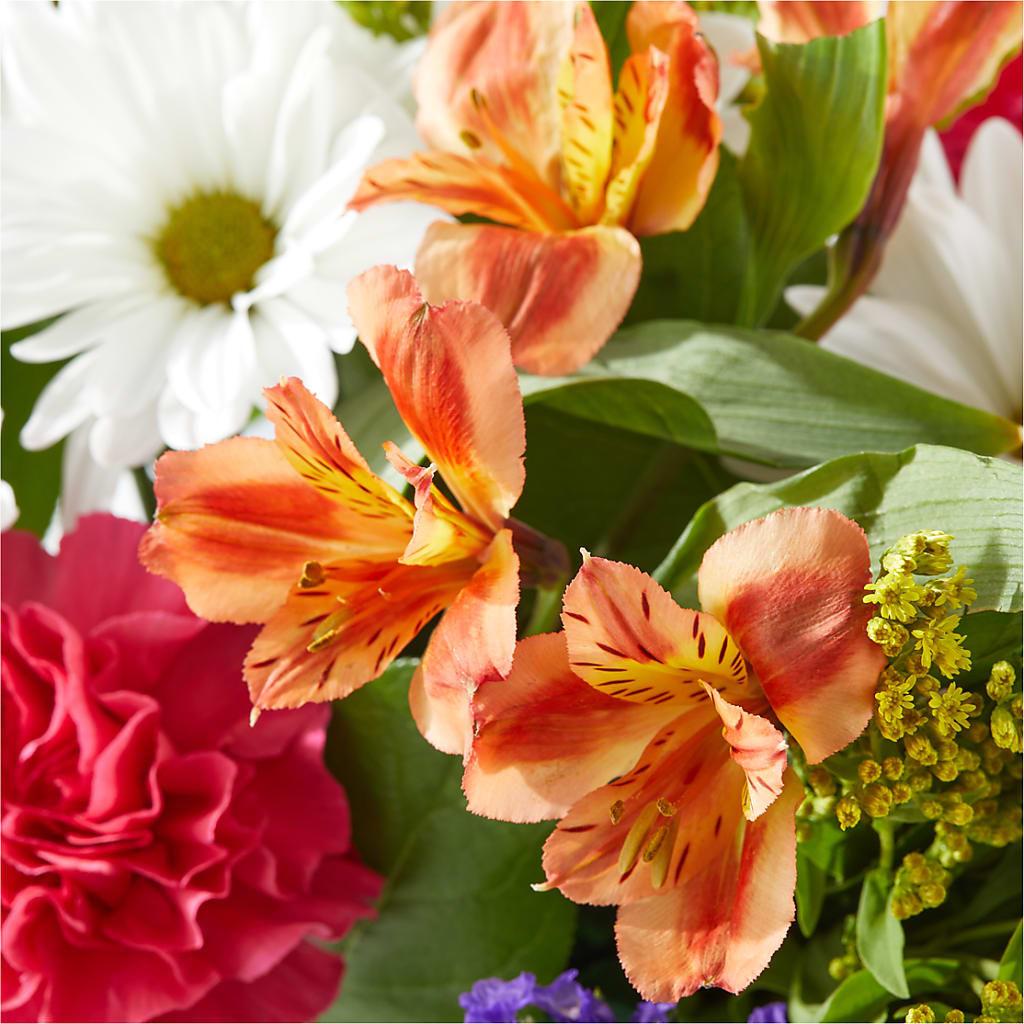 Oopsie Daisy Box Bouquet –  Bakers, Wichita KS