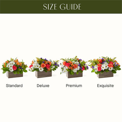 Oopsie Daisy Box Bouquet –  Bakers, Wichita KS