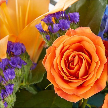 Radiant Citrus Box Bouquet –  Bakers, Wichita KS