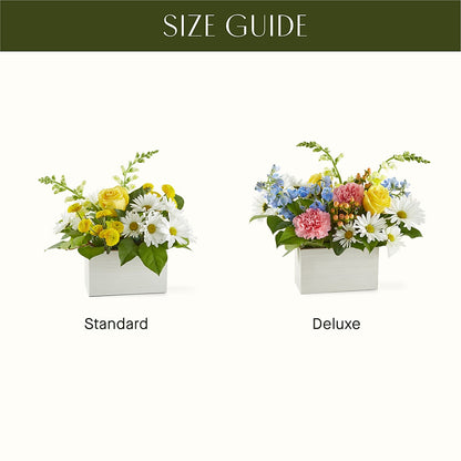 Sun Salutation Box Bouquet –  Bakers, Wichita KS