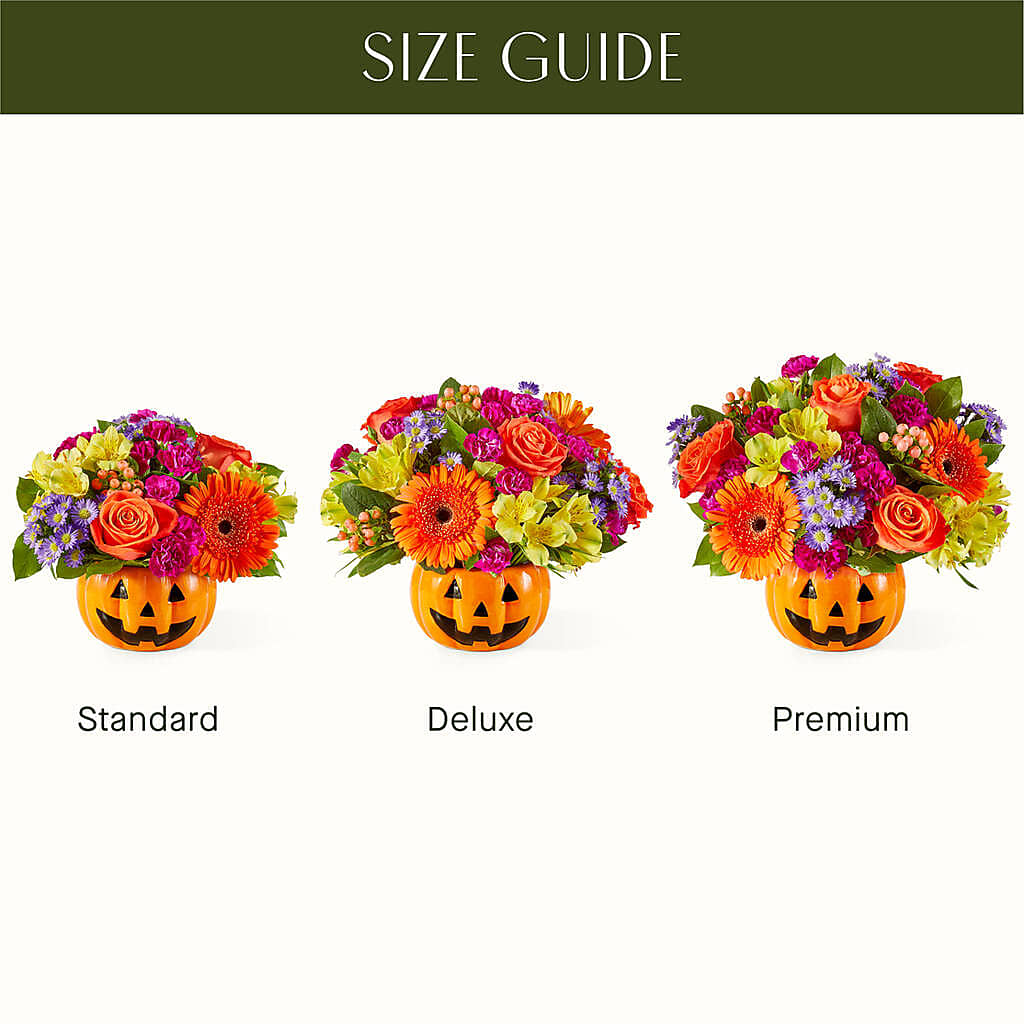 Tricks & Treats Pumpkin –  Bakers, Wichita KS