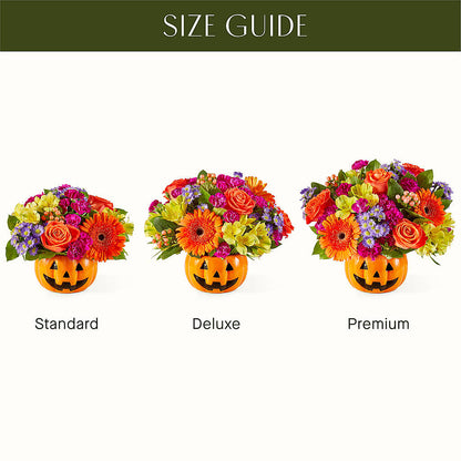 Tricks & Treats Pumpkin –  Bakers, Wichita KS