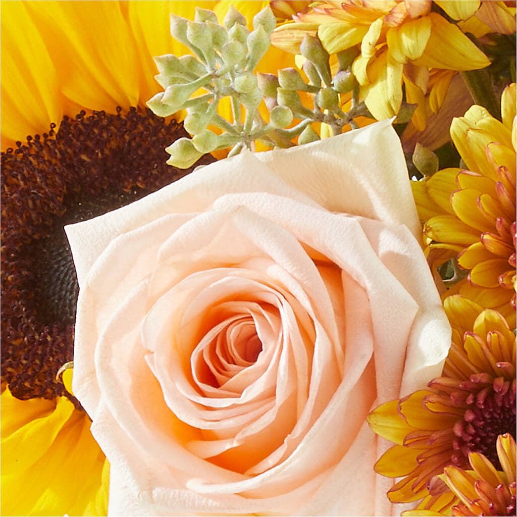Pumpkin to Talk About Bouquet –  Bakers, Wichita KS