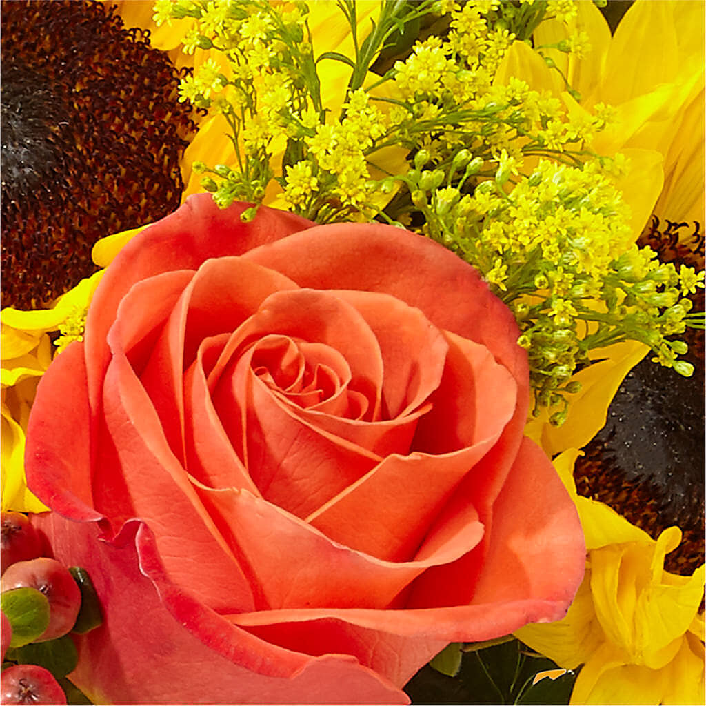 Pick of the Patch Pumpkin Bouquet –  Bakers, Wichita KS