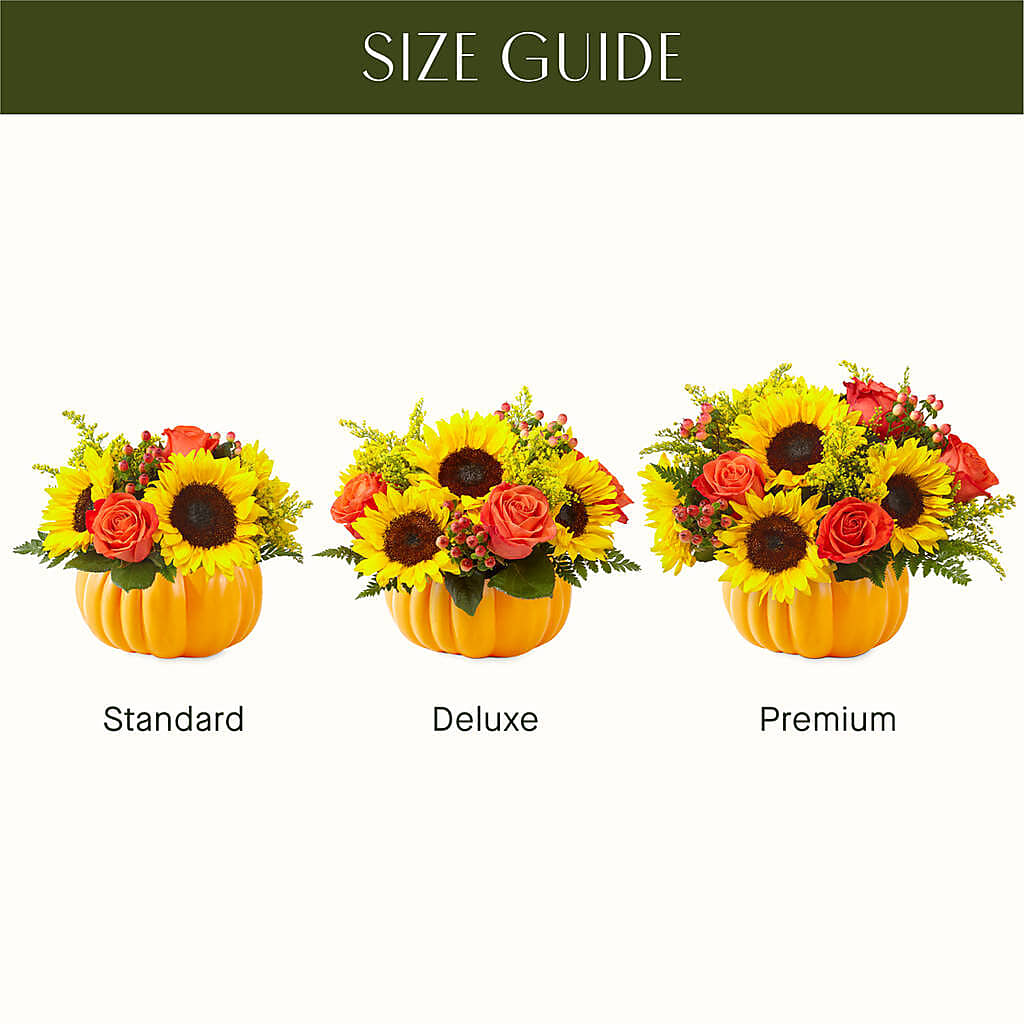 Pick of the Patch Pumpkin Bouquet –  Bakers, Wichita KS
