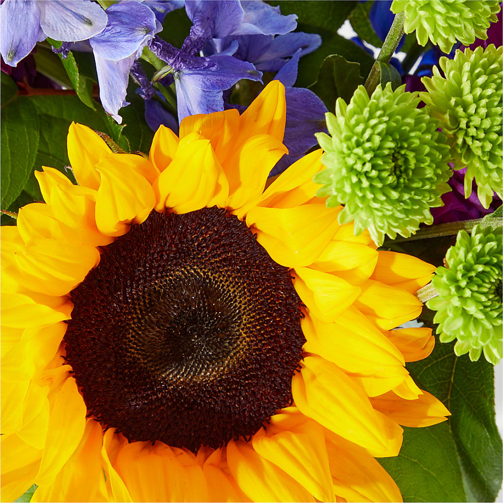Catching Rays Bouquet –  Bakers, Wichita KS