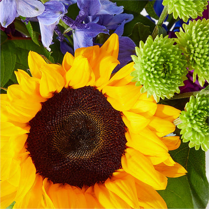 Catching Rays Bouquet –  Bakers, Wichita KS