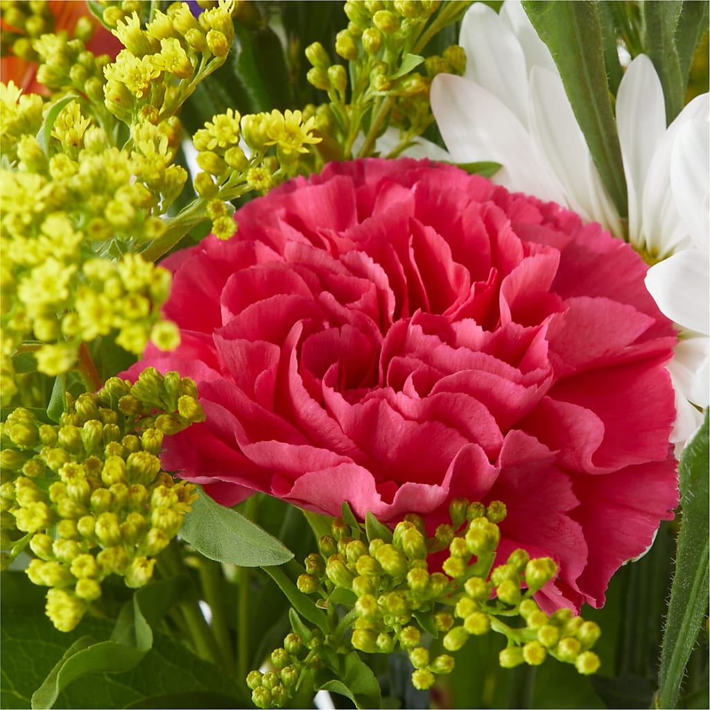 Oopsie Daisy Bouquet –  Bakers, Wichita KS