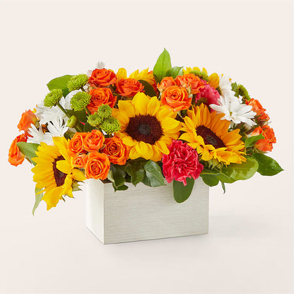 Sun-drenched Blooms Box Bouquet –  Bakers, Wichita KS