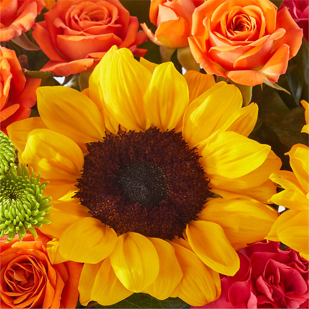 Sun-drenched Blooms Box Bouquet –  Bakers, Wichita KS