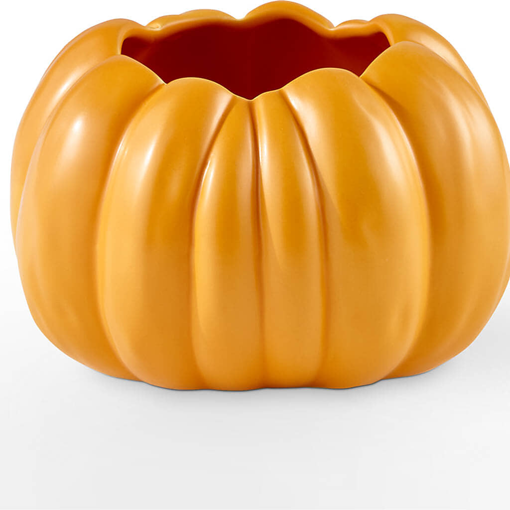 Golden Gourd Pumpkin Bouquet –  Bakers, Wichita KS