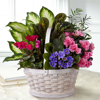 Peaceful Garden Planter –  Bakers, Wichita KS