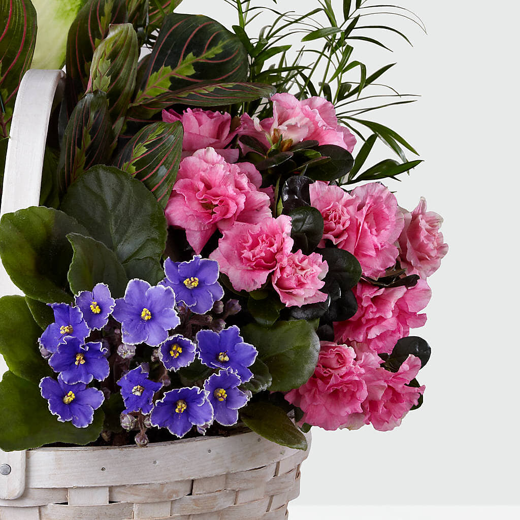Peaceful Garden Planter –  Bakers, Wichita KS