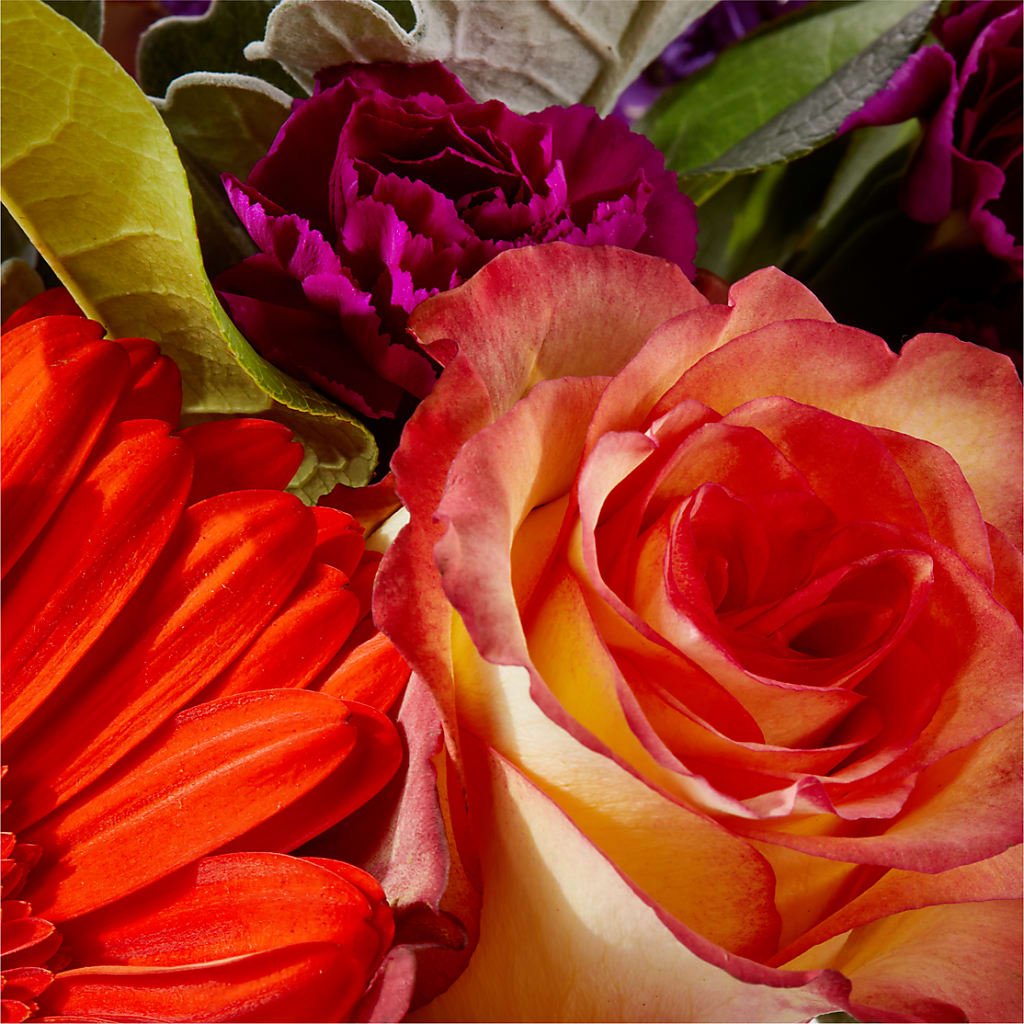 Sangria Bouquet –  Bakers, Wichita KS