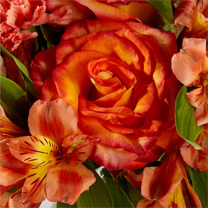 Apricot Glow Bouquet –  Bakers, Wichita KS