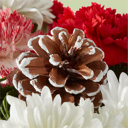Candy Cane Lane Bouquet –  Bakers, Wichita KS