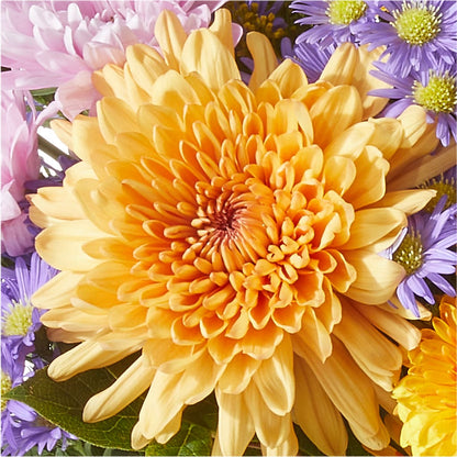Countryside Bouquet –  Bakers, Wichita KS