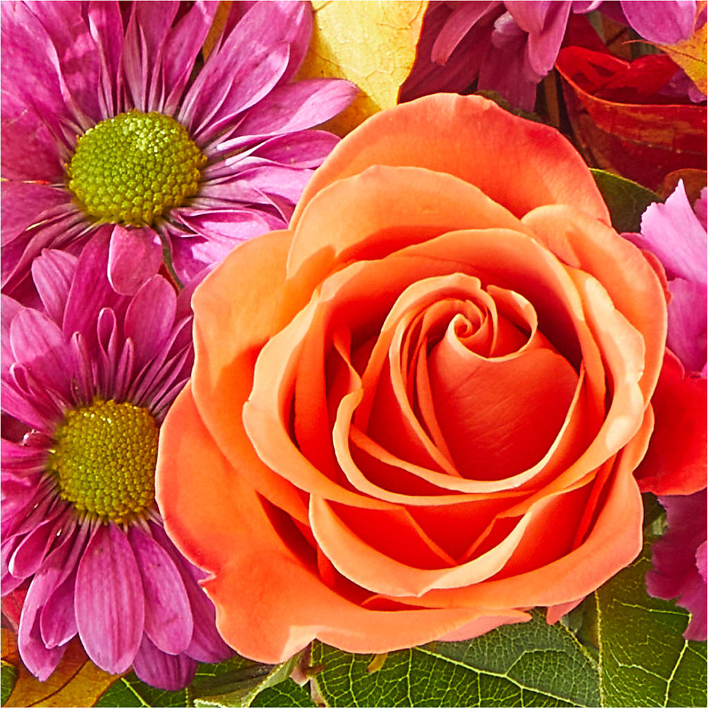 Mum's the Word Bouquet –  Bakers, Wichita KS