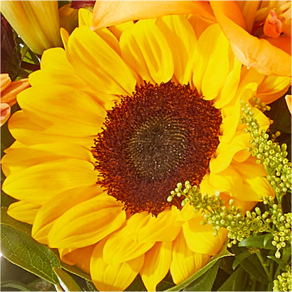 Seasons Change Bouquet –  Bakers, Wichita KS
