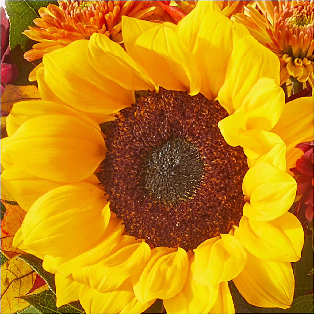 Sunny Side Bouquet –  Bakers, Wichita KS