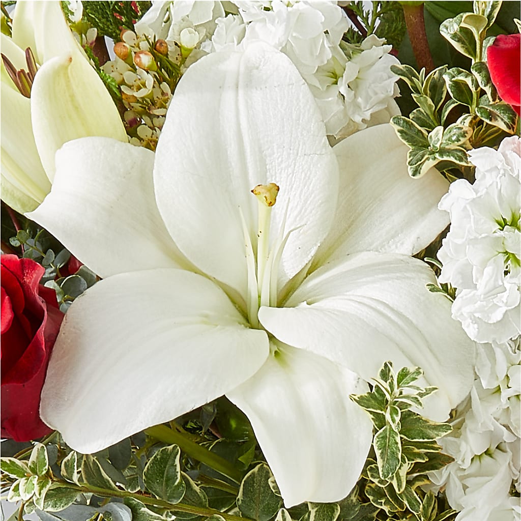 Twinkle Lights Bouquet –  Bakers, Wichita KS