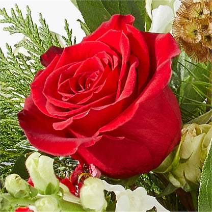 Deck the Halls Bouquet –  Bakers, Wichita KS