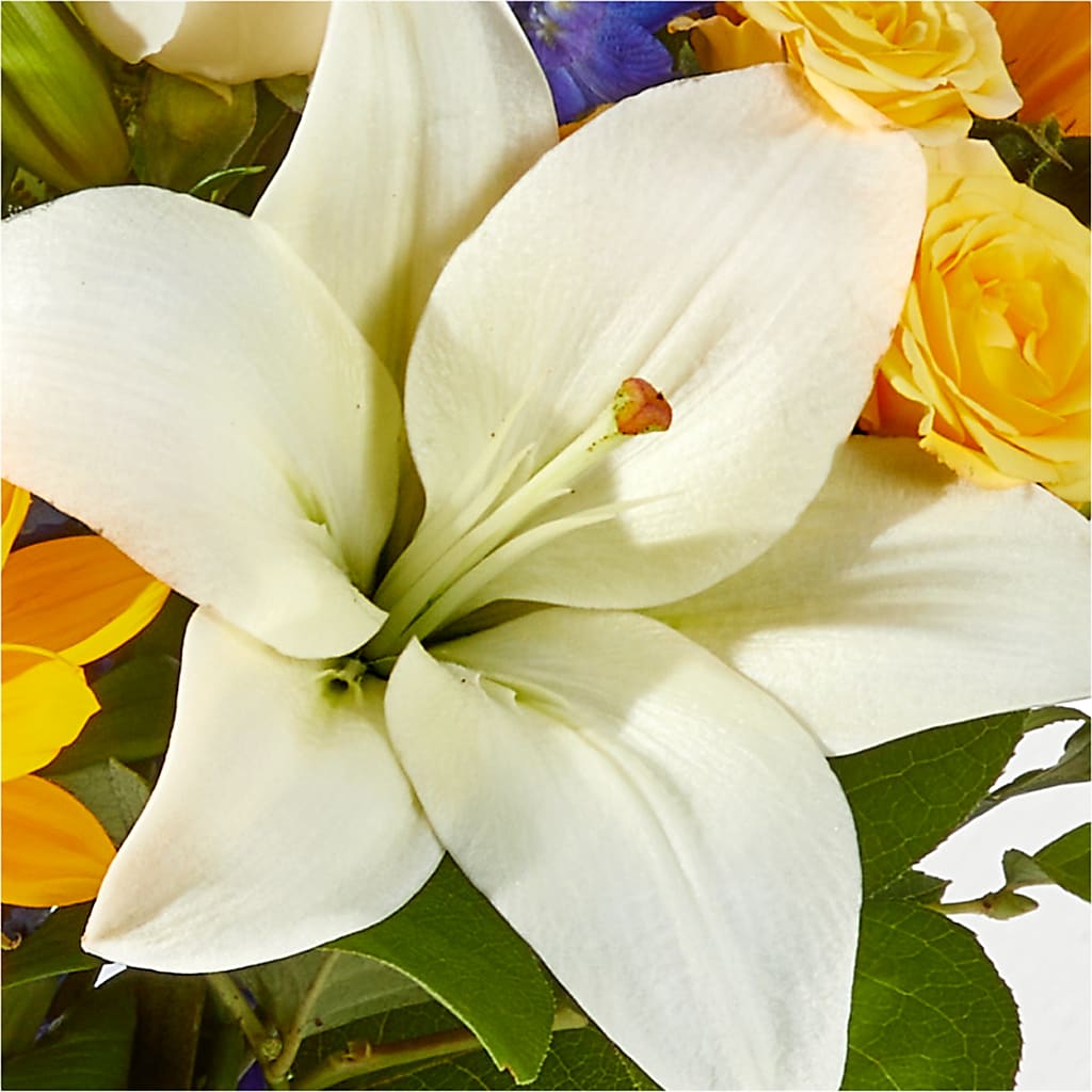 Wonderfully Sunny Bouquet –  Bakers, Wichita KS