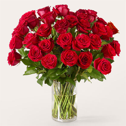 The One Red Rose Bouquet –  Bakers, Wichita KS